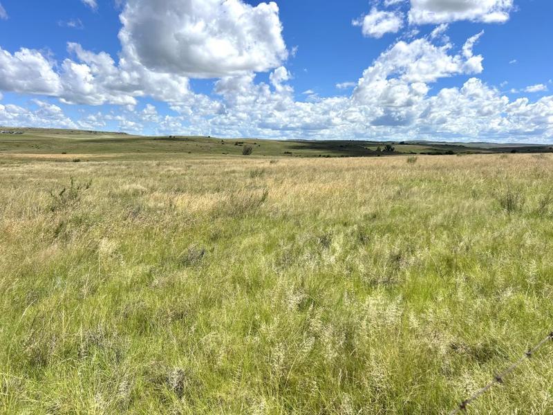 0 Bedroom Property for Sale in Lindley Free State